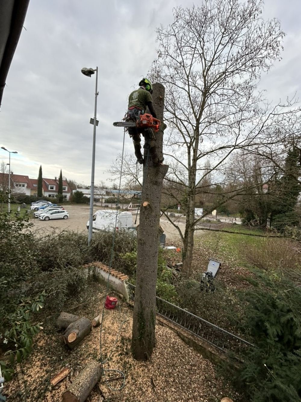 Abattage et démontage 3
