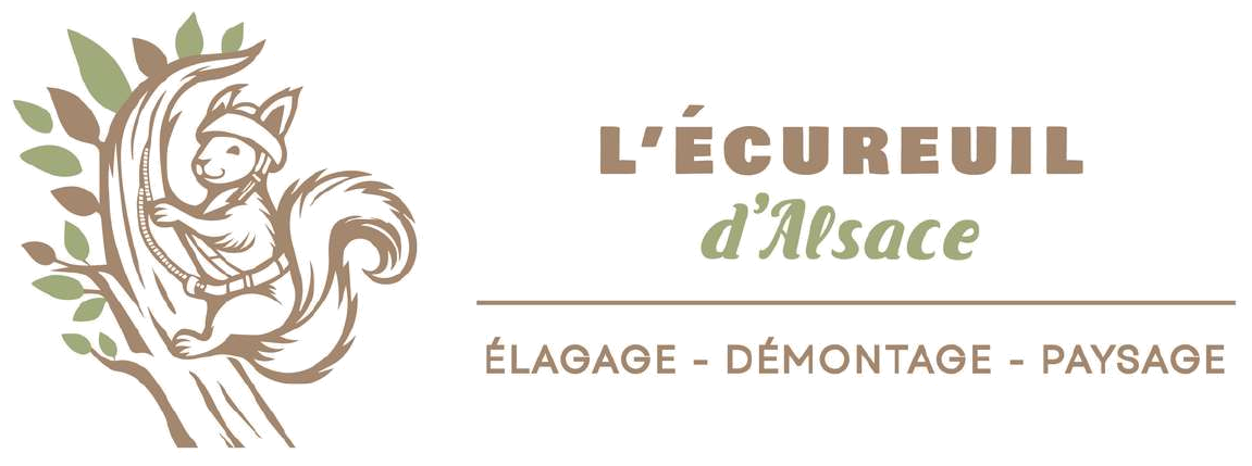 L'Écureuil d'Alsace